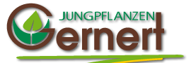 Jungpflanzen GERNERT GbR